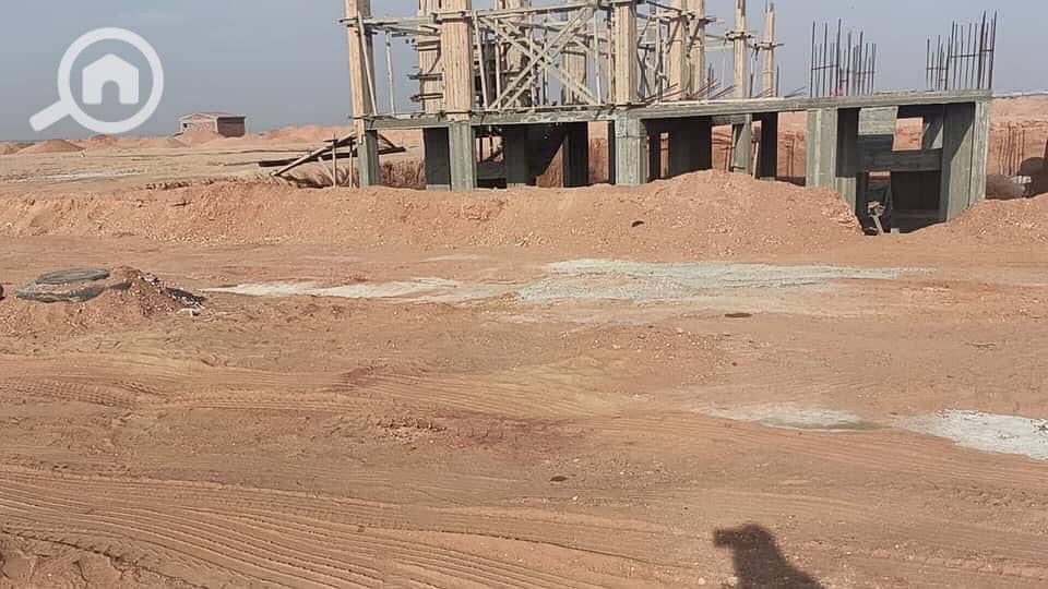 4 3c31b013-0f72-4916-9b75-ea911a858a1a. jpg