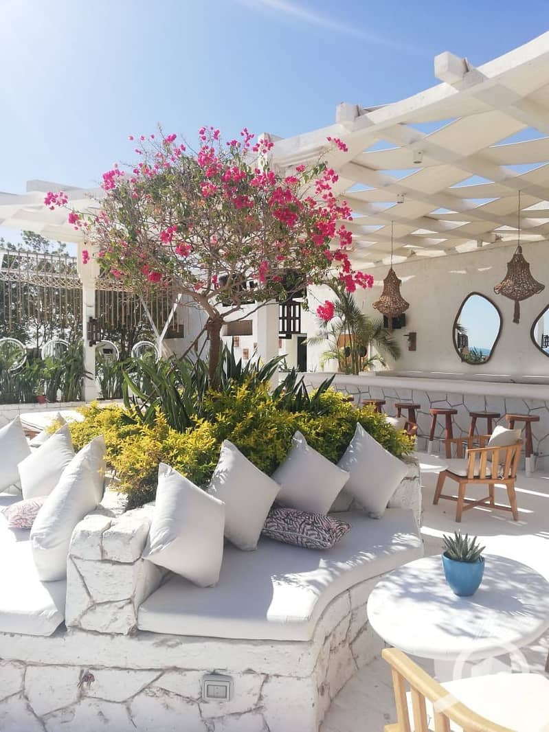 15 WhatsApp Image 2024-05-23 at 10.06. 39 PM. jpeg