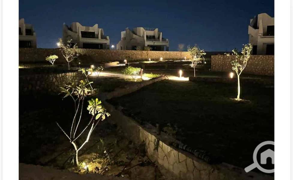 3 9d05d274-480d-4db5-abf6-912289cf1a13. jpg