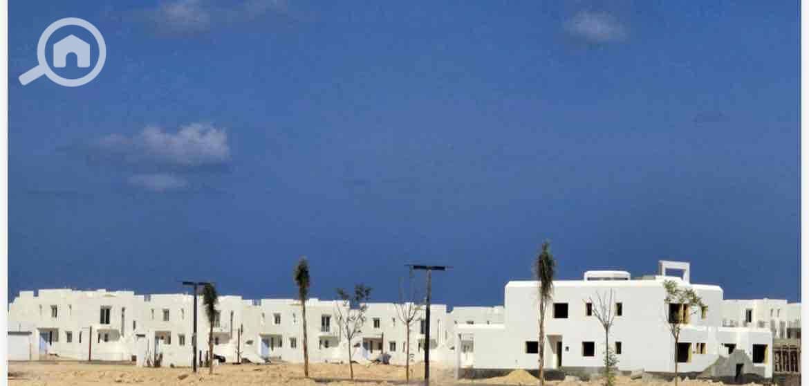 11 831fe12a-931a-427f-b9fb-f1dfb23b16a1. jpg