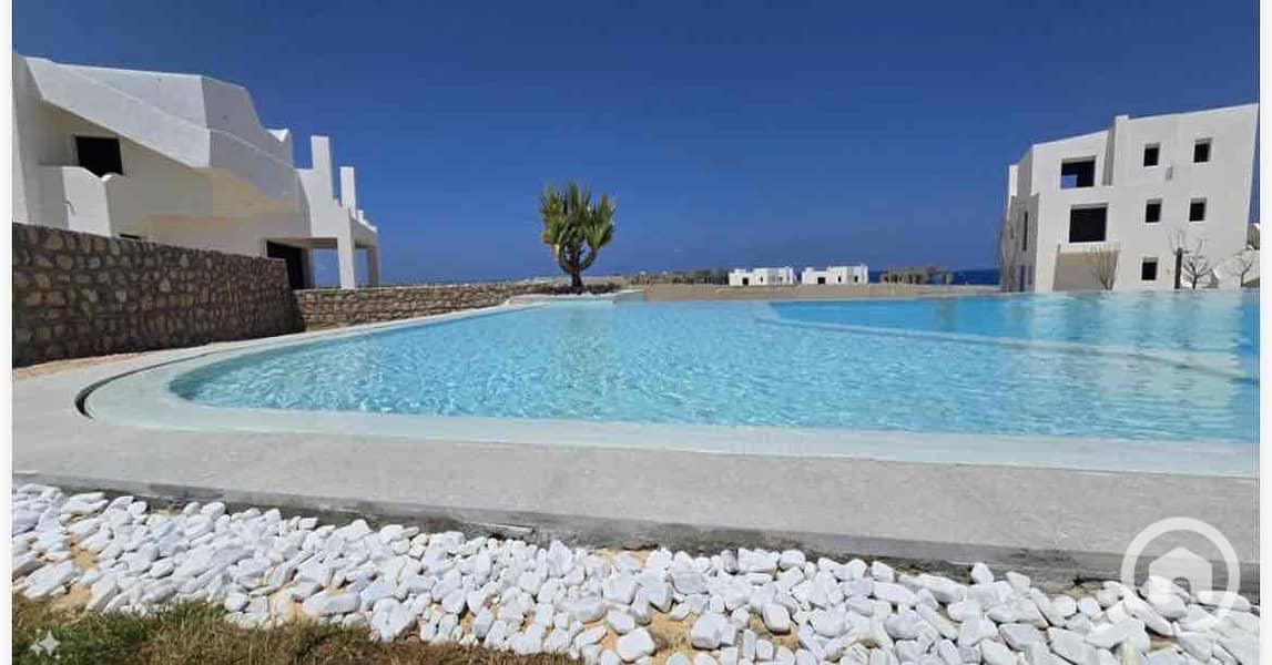 13 6893b87e-1e66-4c61-9913-9801b2db69fa. jpg