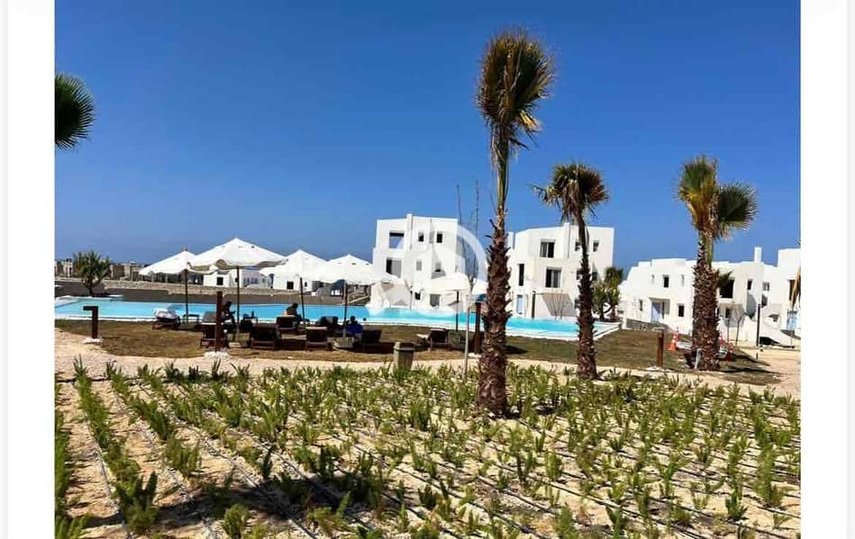 14 9a8a75aa-b87b-4581-a623-42d052d37208. jpg