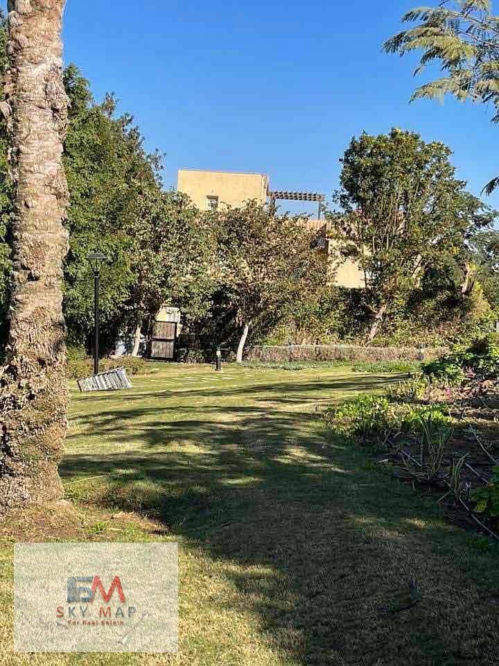 2 e641872f-6bb2-4d86-a75a-85d0aeb001da. jpg