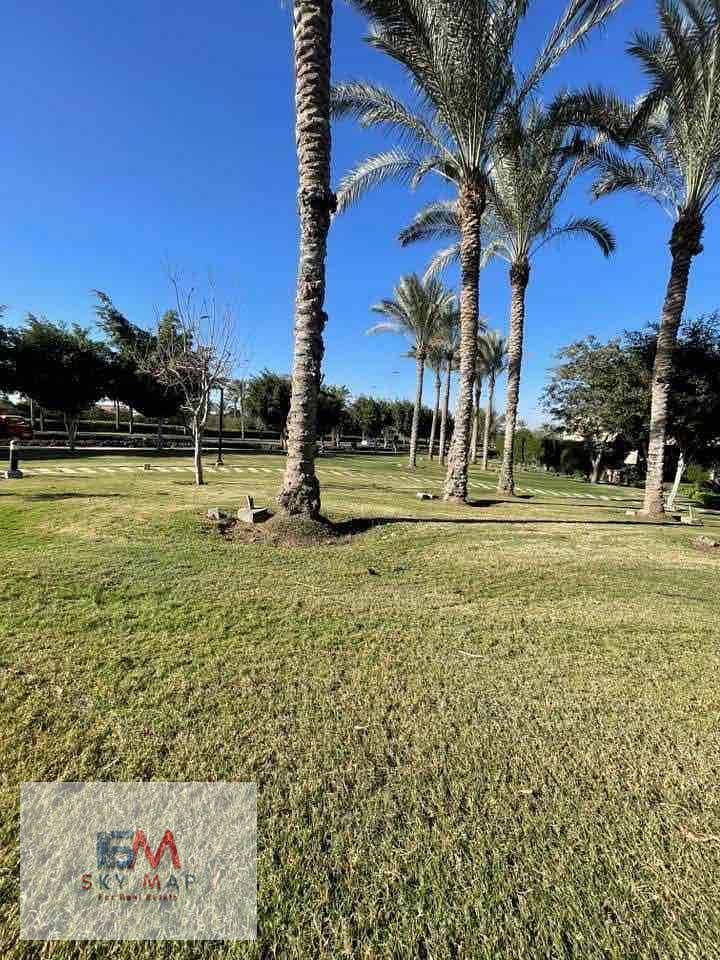 6 3a80f691-e4a9-4a5e-a451-8cf31d63df46. jpg