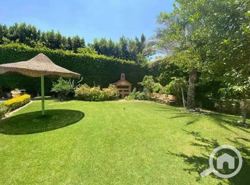 5 WhatsApp Image 2024-03-06 at 18.49. 08_a08ea873. jpg