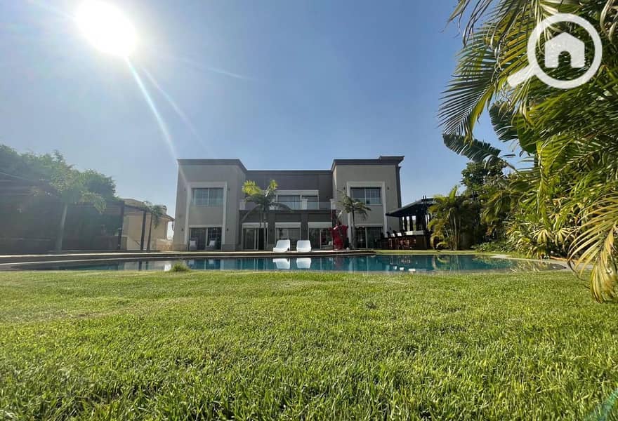 original. jpg original. jpg