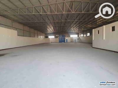 Factory for Rent in Marg, Cairo - 1000240103. jpg
