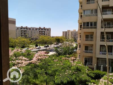 3 Bedroom Flat for Rent in Madinaty, Cairo - 1000311903. jpg