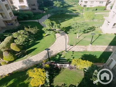 فلیٹ 3 غرف نوم للايجار في مدينتي، القاهرة - fe3b6d8a-c66e-437a-b869-3e901ad592d3. jpg فلیٹ 3 غرف نوم للايجار في مدينتي، القاهرة - fe3b6d8a-c66e-437a-b869-3e901ad592d3. jpg