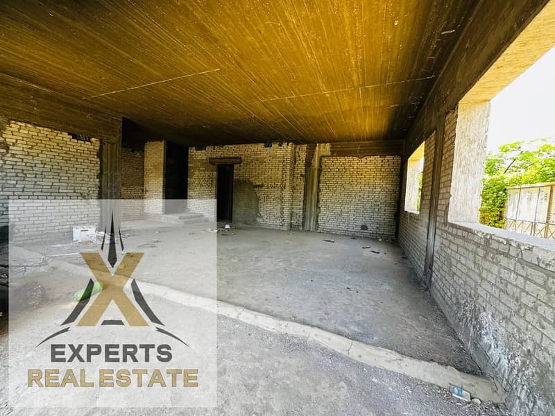 5 cd45d030-d506-4a7a-a5c4-db13e7c7961a. jpg