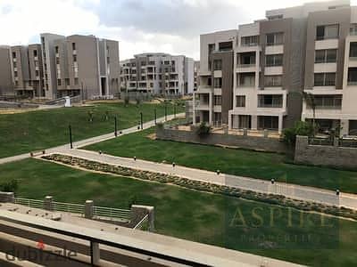 7 156934151-400x300. jpeg