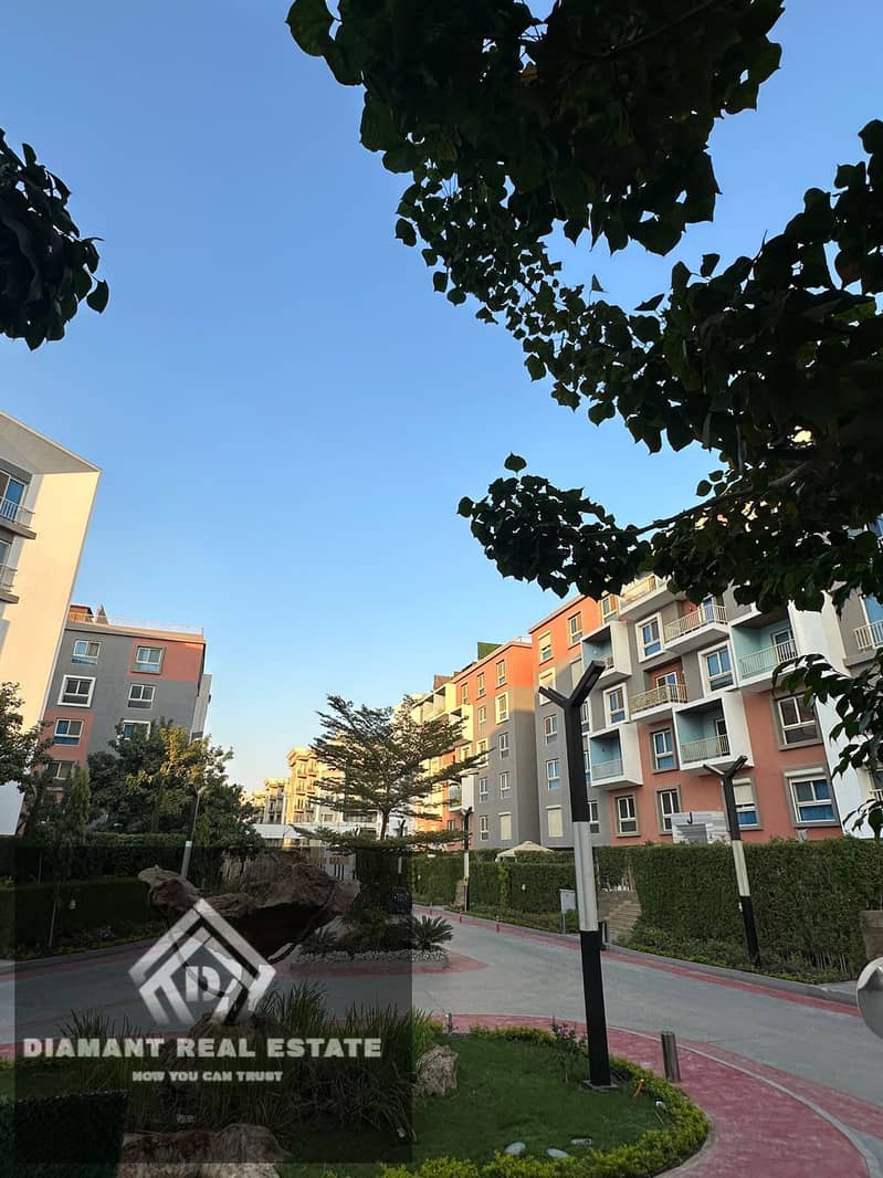 16 WhatsApp Image 2026-01-04 at 1.18. 12 PM (3). jpeg