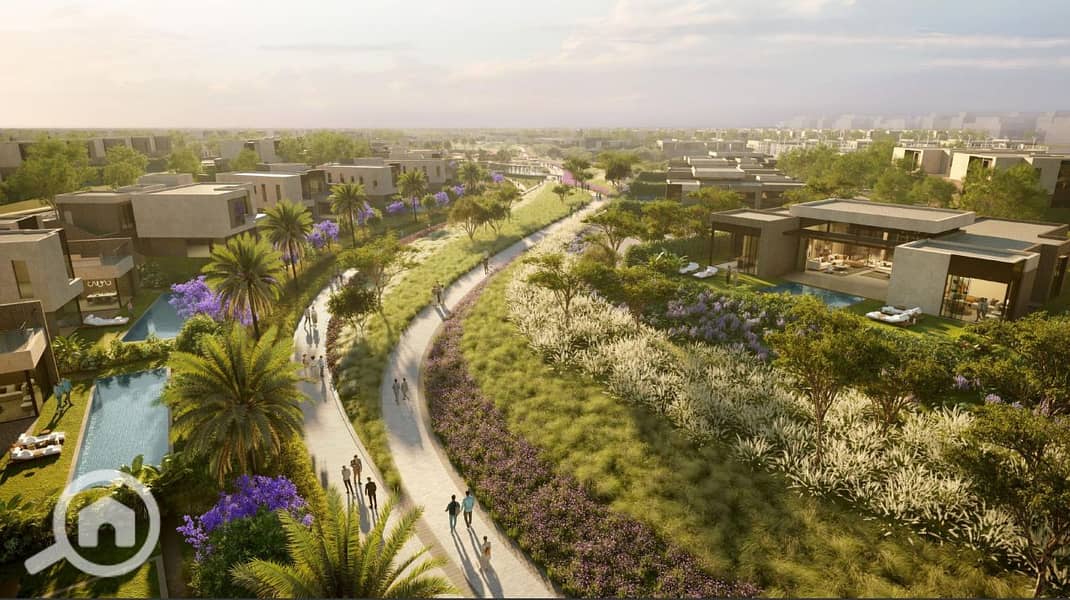 9 Solana-Ora-New-Zayed. png