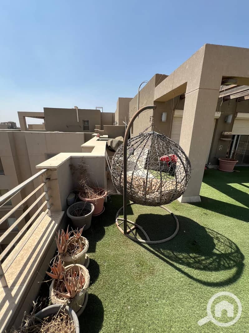 6 WhatsApp Image 2026-01-04 at 4.31. 39 PM (2). jpeg