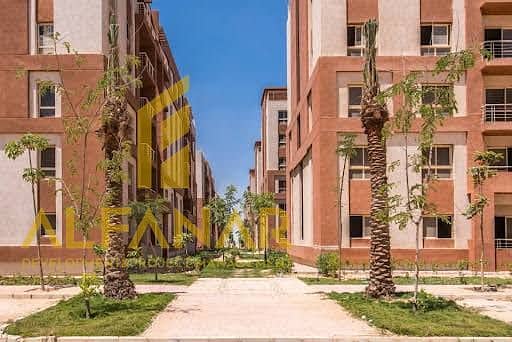 4 WhatsApp Image 2026-01-05 at 12.34. 24 (1). jpeg