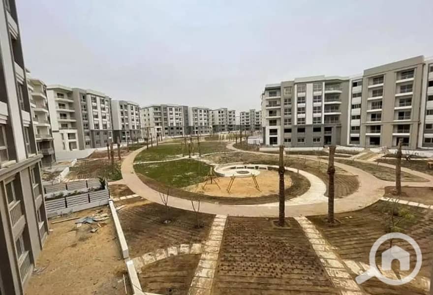 5 4188125-8d33fo. jpg