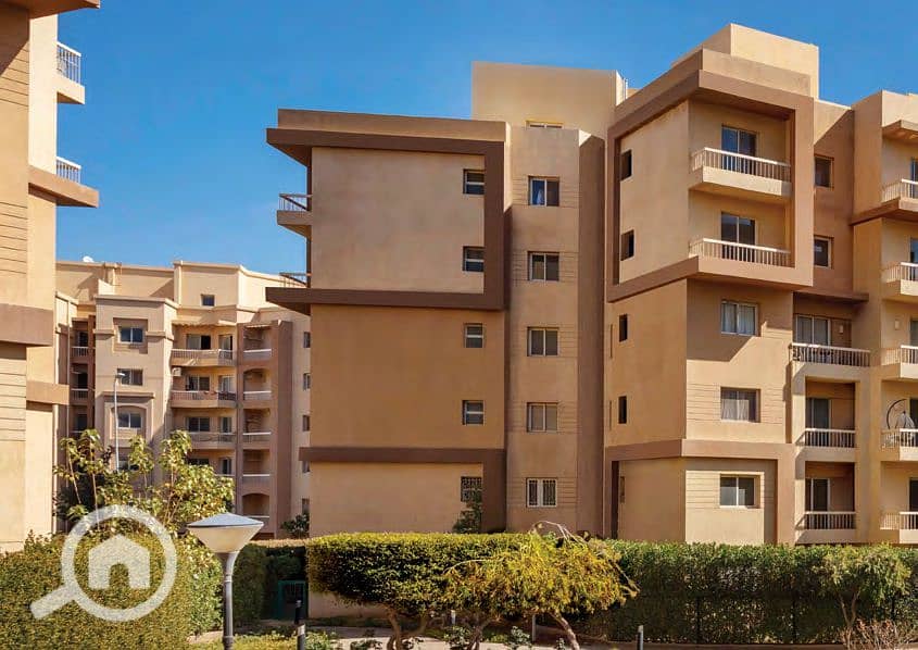 8 اشجار-سيتي-4. jpg