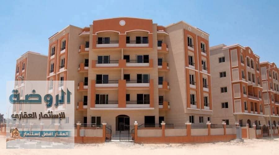 3 FB_IMG_1766095288096. jpg