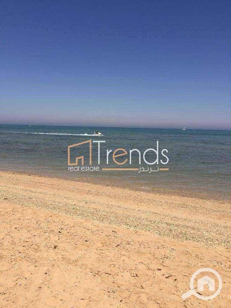 3 WhatsApp Image 2023-02-26 at 11.18. 39 AM (6). jpg