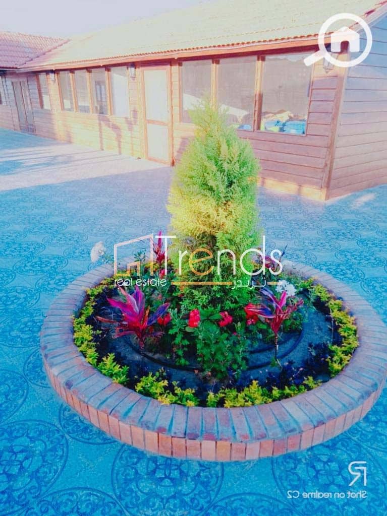 17 WhatsApp Image 2023-02-26 at 11.18. 40 AM (7). jpg