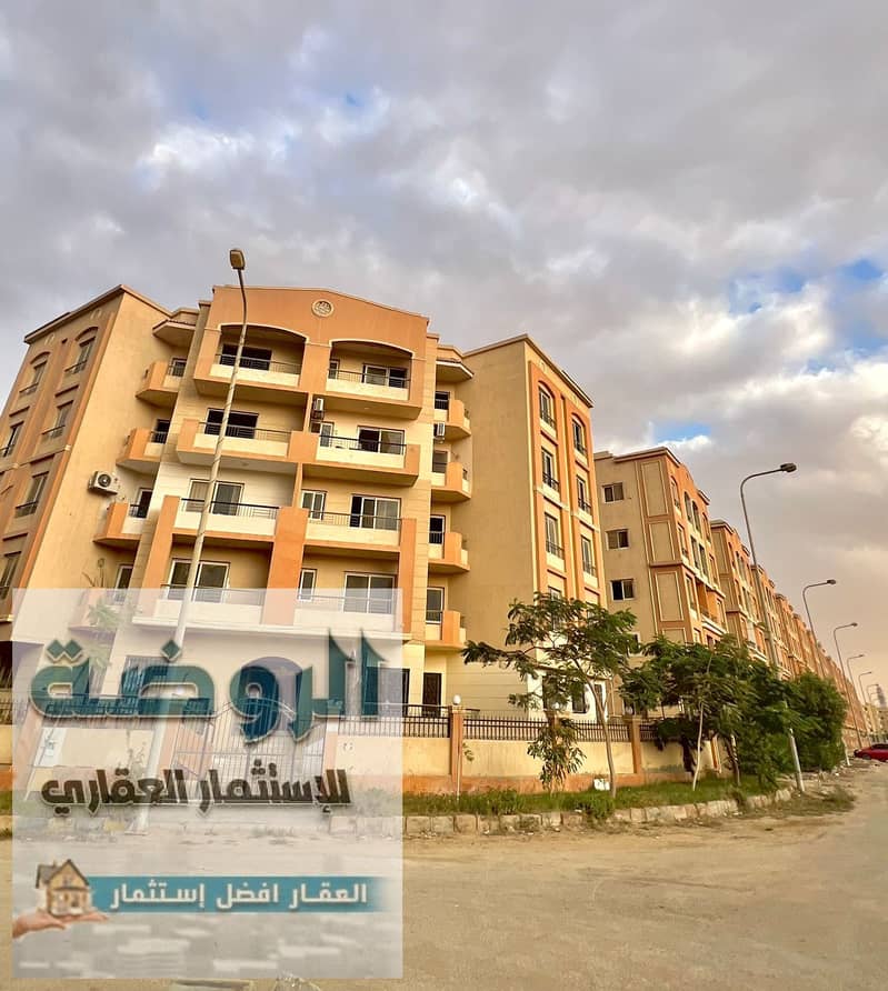 7 motion_photo_8976996698180407547. jpg