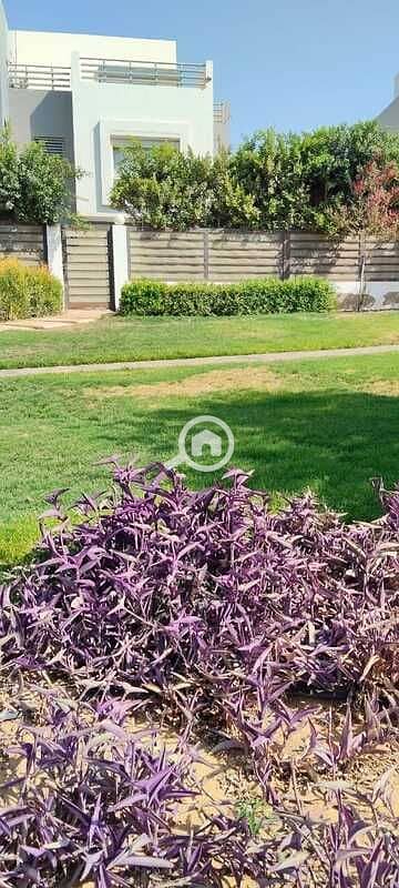 15 WhatsApp Image 2026-01-04 at 4.57. 55 PM. jpeg