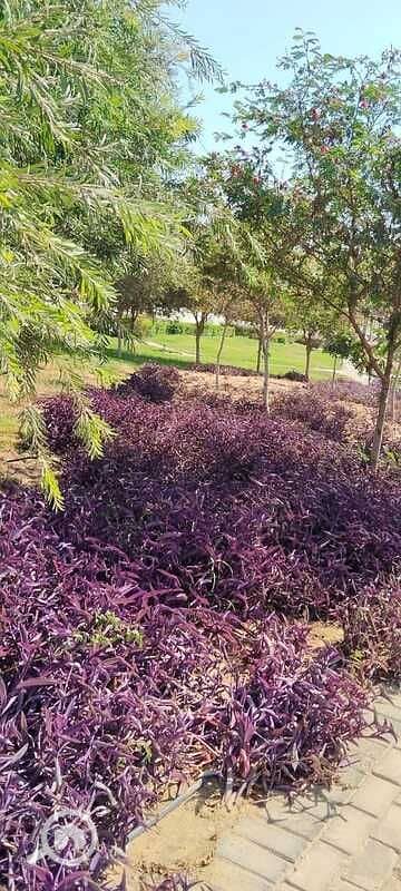 16 WhatsApp Image 2026-01-04 at 4.57. 56 PM (1). jpeg