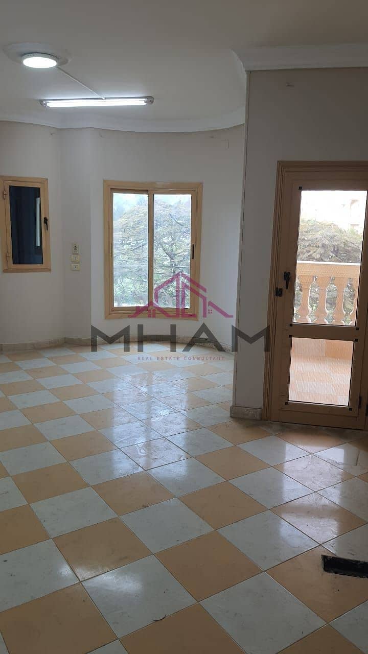 3 photo_5970004370101308498_y. jpg