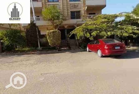 شقة 3 غرف نوم للبيع في القاهرة الجديدة، القاهرة - 1000618662. jpg شقة 3 غرف نوم للبيع في القاهرة الجديدة، القاهرة - 1000618662. jpg