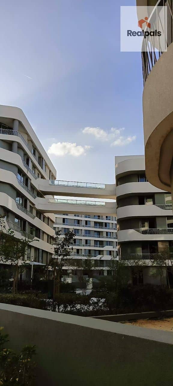 8 WhatsApp Image 2025-08-23 at 16.38. 57_a056d37d. jpg