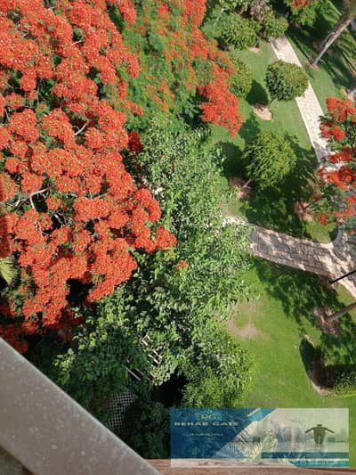 2 Bedroom Apartment for Rent in Madinaty, Cairo - 36f984ea-5e4b-4ce2-b96f-419672e2f5aa. jpg