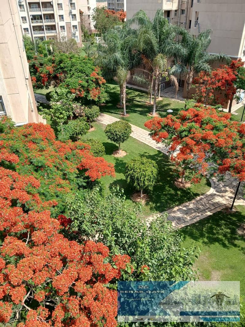 8 56e4a3b2-abc9-402c-a388-56661a314686. jpg