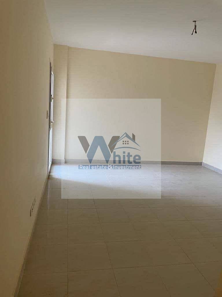 4 556561853_122139526514925327_6249667192275614254_n. jpg