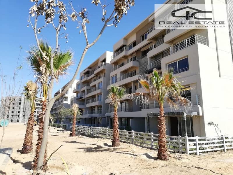 6 WhatsApp Image 2025-05-26 at 7.20. 59 PM (3). jpeg