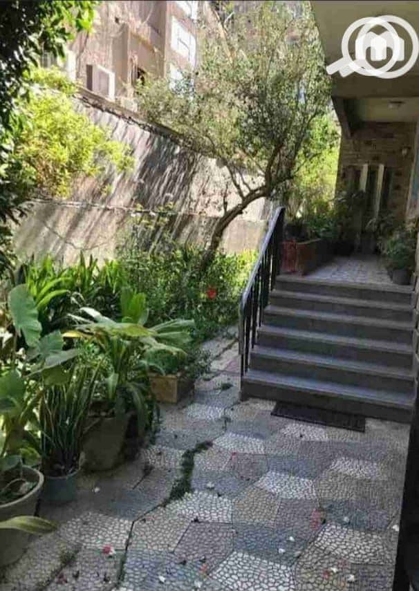 5 WhatsApp Image 2026-01-05 at 14.15. 04. jpeg