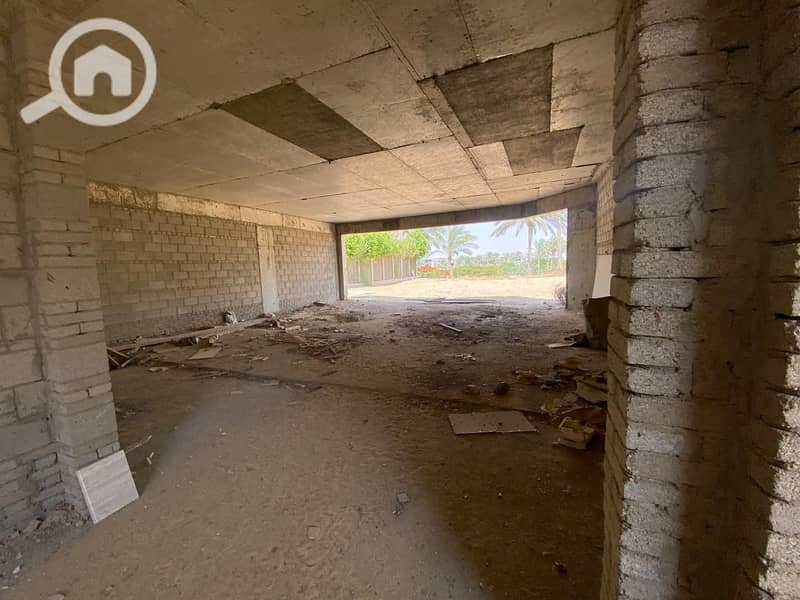 6 WhatsApp Image 2026-01-05 at 1.37. 02 PM (1). jpeg