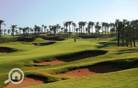 6 Bedroom Villa for Sale in New Cairo, Cairo - Gallery_4. jpg