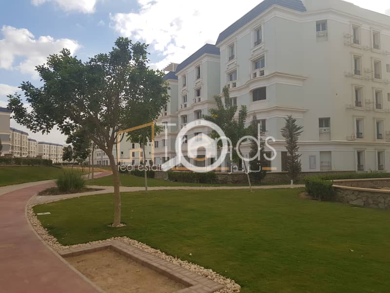 3 20181211_144933. jpg