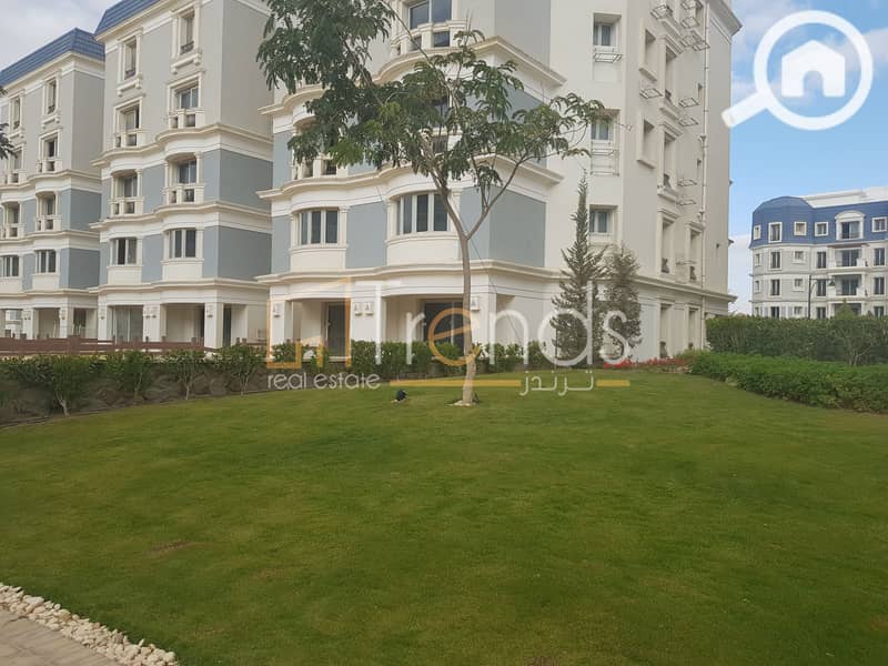 4 20181211_144946. jpg