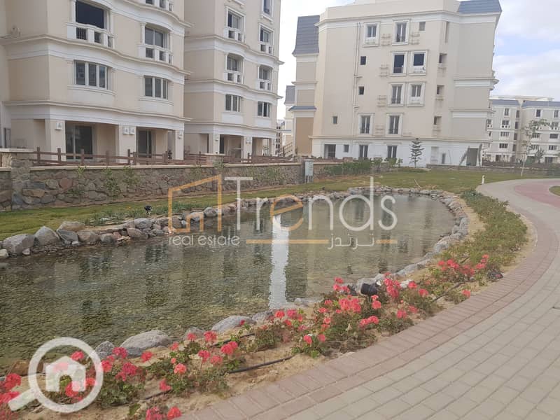 10 20181211_145616. jpg