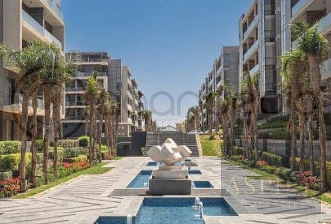 6 8368933-50793o. jpg