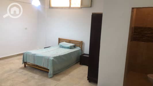 1 Bedroom Room for Rent in New Cairo, Cairo - WhatsApp Image 2026-01-04 at 4.16. 44 AM (1). jpeg