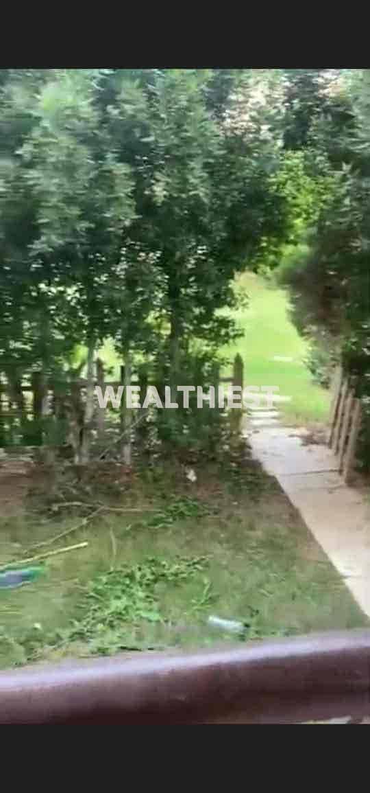 b505fe1b-a56f-4f7c-8201-3bcf68a41a7d. jpg b505fe1b-a56f-4f7c-8201-3bcf68a41a7d. jpg