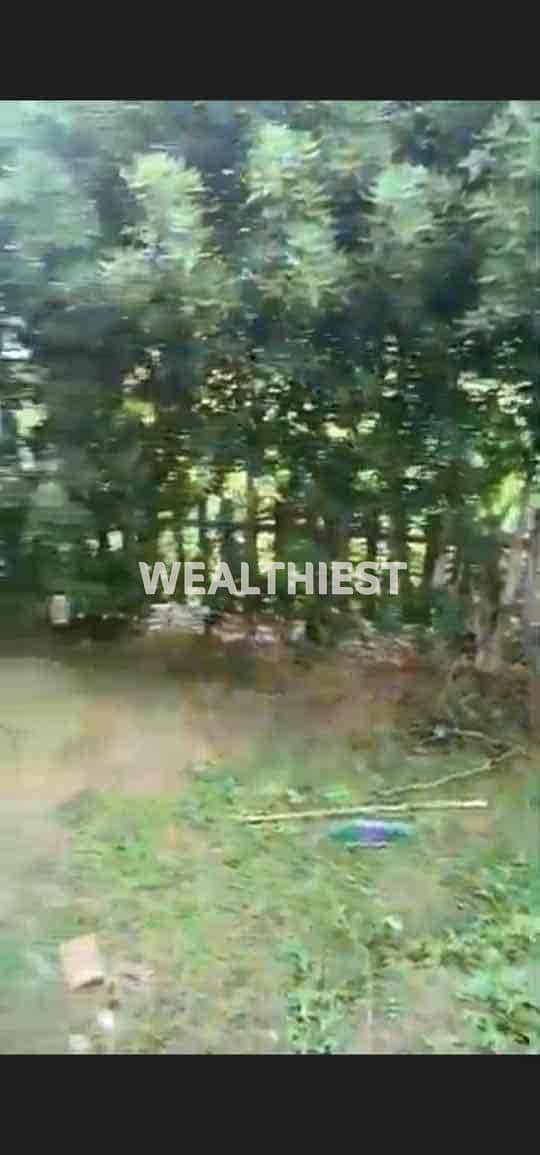 2 ad4d4ed7-744c-4d3e-9576-f74a0e6742c6. jpg