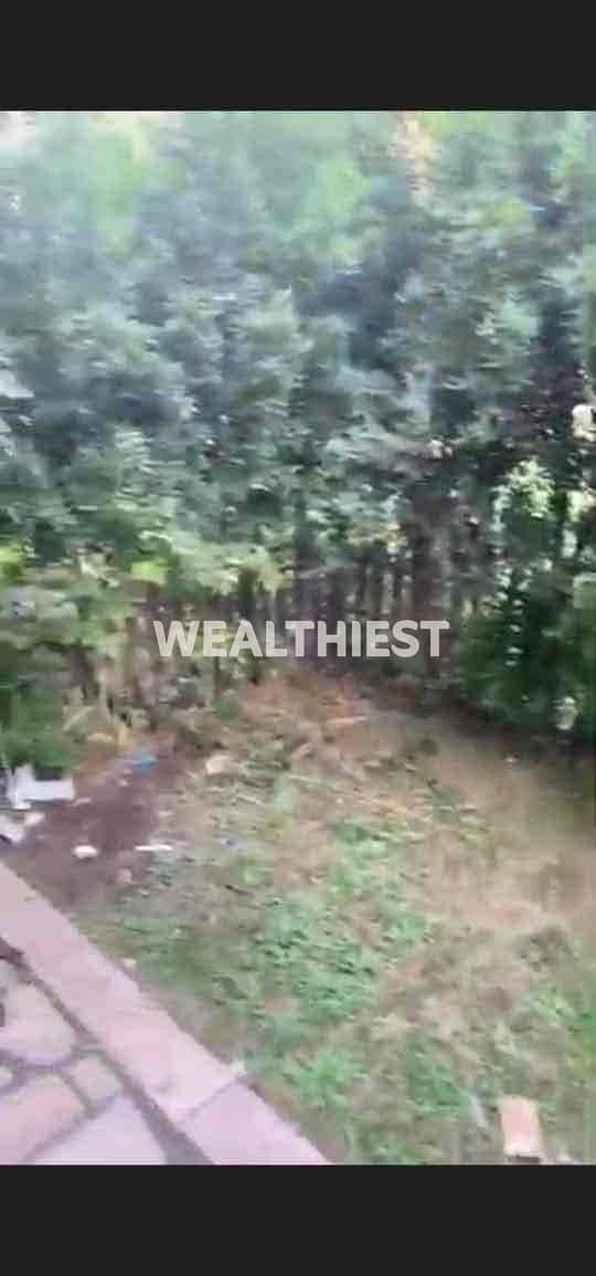 3 b662a52d-6d4b-4c64-aa12-20f961c41914. jpg