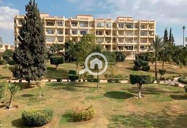 8 60cb78460ac8c462161046. png