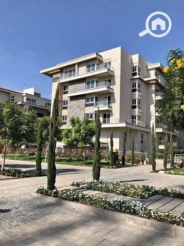 15 550183669_2007455846667001_7227208909068459446_n. jpg