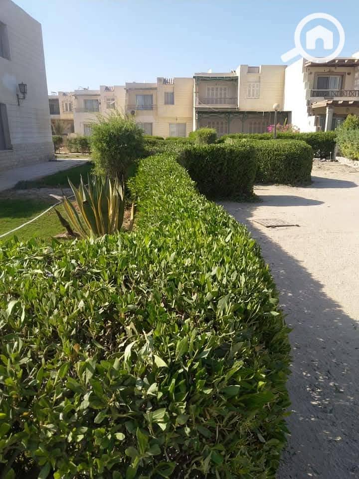 2 WhatsApp Image 2026-01-05 at 03.01. 03 (1). jpeg