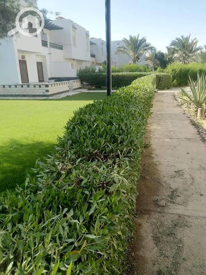 3 WhatsApp Image 2026-01-05 at 03.01. 03 (2). jpeg