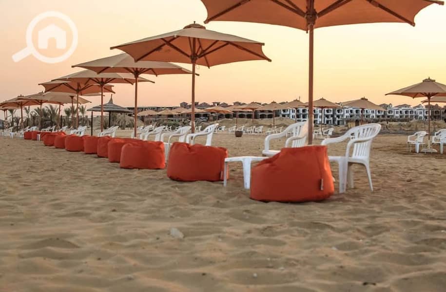 3 WhatsApp Image 2026-01-04 at 19.19. 46 (3). jpeg